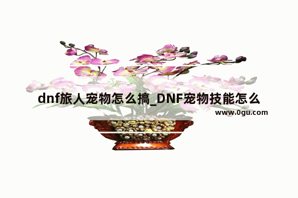 dnf旅人宠物怎么搞_DNF宠物技能怎么用