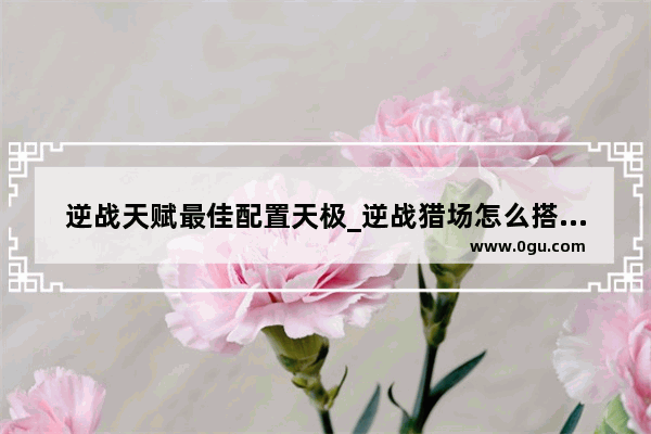 逆战天赋最佳配置天极_逆战猎场怎么搭配伤害最高