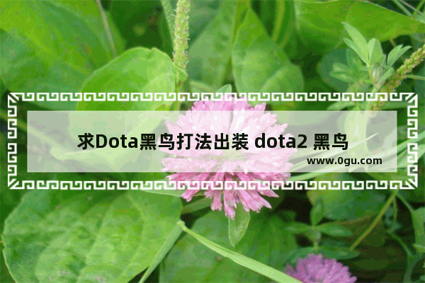 求Dota黑鸟打法出装 dota2 黑鸟出装