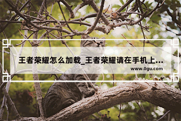 王者荣耀怎么加载_王者荣耀请在手机上编辑如何解决