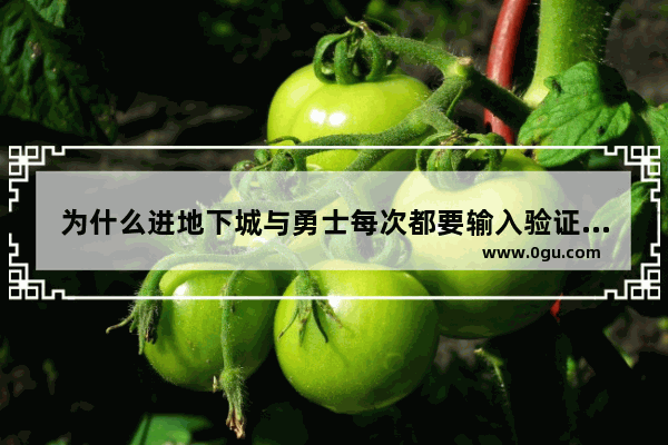 为什么进地下城与勇士每次都要输入验证码,地下城与勇士进游戏说的话