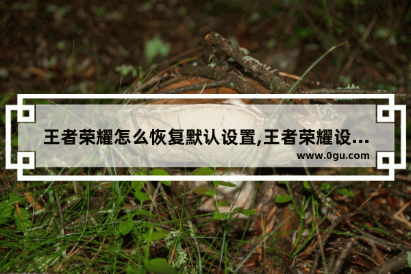 王者荣耀怎么恢复默认设置,王者荣耀设置怎么恢复默认