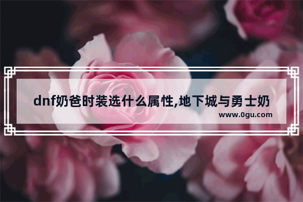 dnf奶爸时装选什么属性,地下城与勇士奶爸装扮属性
