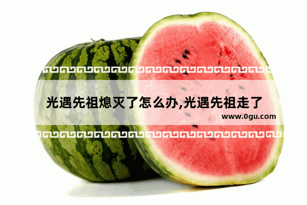 光遇先祖熄灭了怎么办,光遇先祖走了