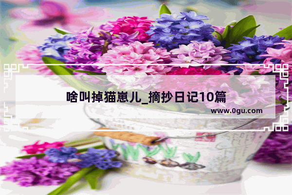 啥叫掉猫崽儿_摘抄日记10篇
