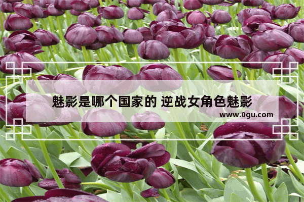魅影是哪个国家的 逆战女角色魅影