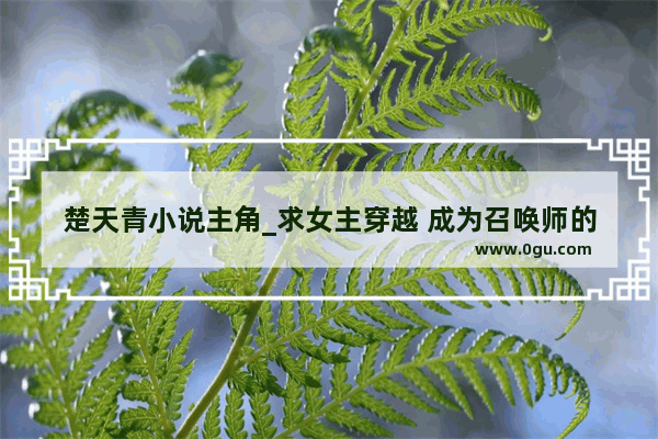 楚天青小说主角_求女主穿越 成为召唤师的文 要完结的