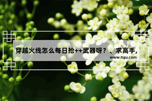 穿越火线怎么每日抢++武器呀？、求高手,穿越火线翔龙大炮