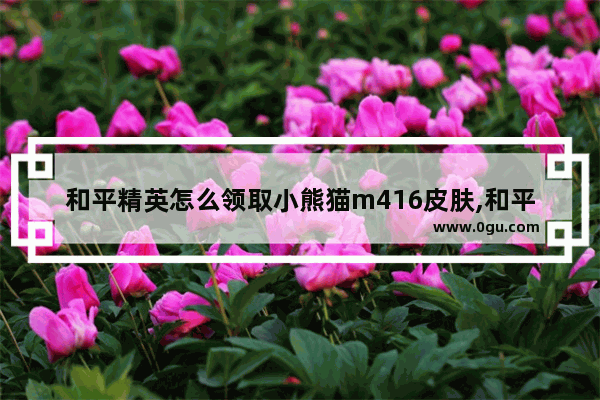 和平精英怎么领取小熊猫m416皮肤,和平精英哪些人有皮肤