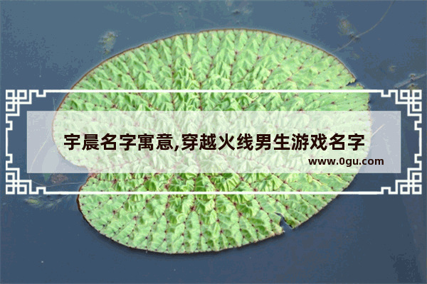 宇晨名字寓意,穿越火线男生游戏名字