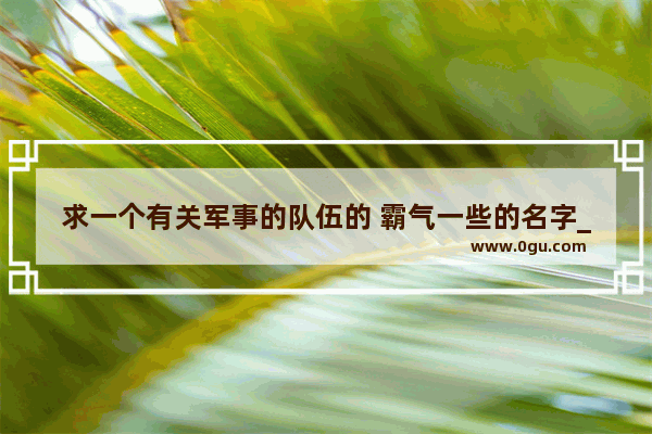 求一个有关军事的队伍的 霸气一些的名字_介绍一下 死神 十三个队长的特殊能力~