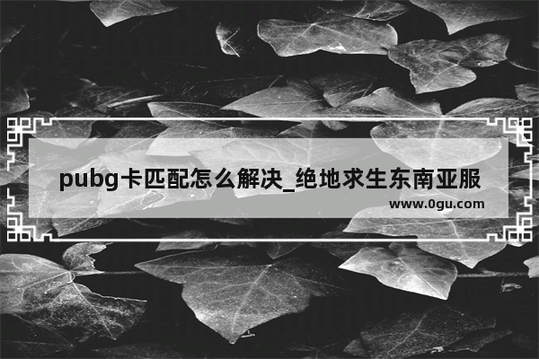 pubg卡匹配怎么解决_绝地求生东南亚服和亚服有什么区别