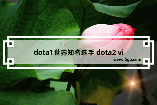 dota1世界知名选手 dota2 vigoss