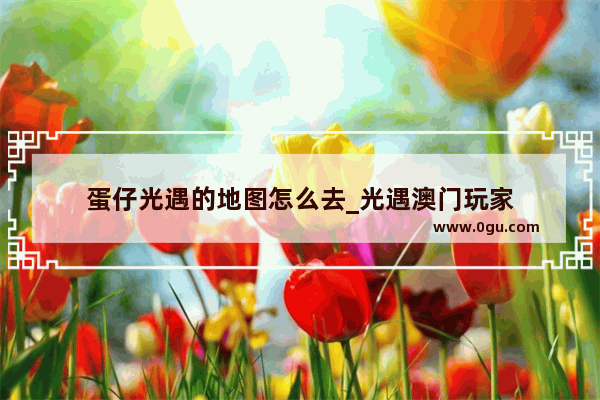 蛋仔光遇的地图怎么去_光遇澳门玩家