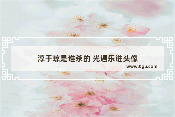 淳于琼是谁杀的 光遇乐进头像