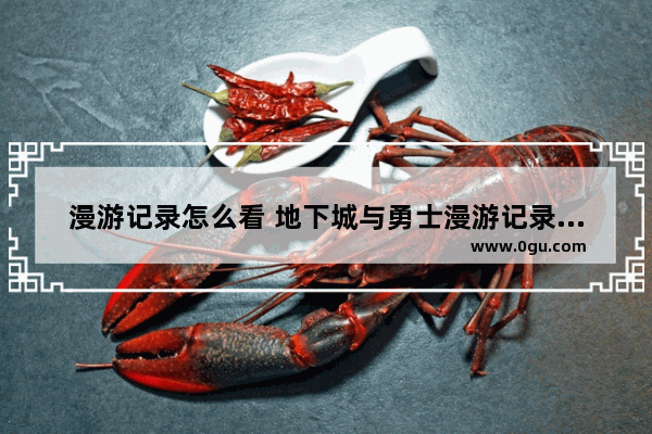 漫游记录怎么看 地下城与勇士漫游记录查询