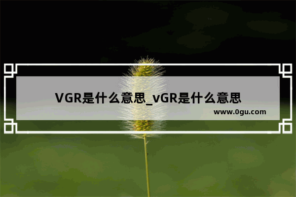 VGR是什么意思_vGR是什么意思