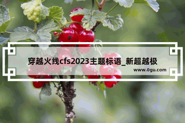 穿越火线cfs2023主题标语_新超越极限2.44e单通难6到了最后最终装备是什么