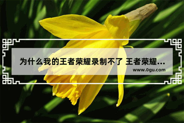为什么我的王者荣耀录制不了 王者荣耀录制失败