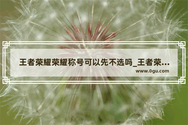 王者荣耀荣耀称号可以先不选吗_王者荣耀怎么上区榜拿称号