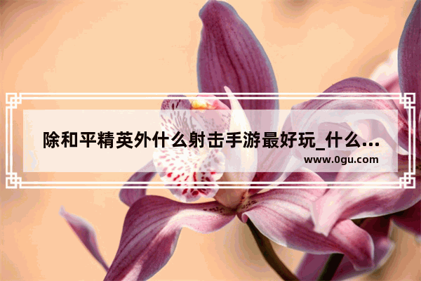 除和平精英外什么射击手游最好玩_什么游戏和和平精英一样 还没有健康系统