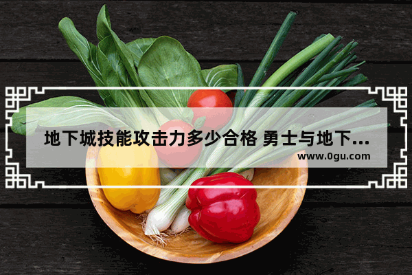 地下城技能攻击力多少合格 勇士与地下城职业技能书