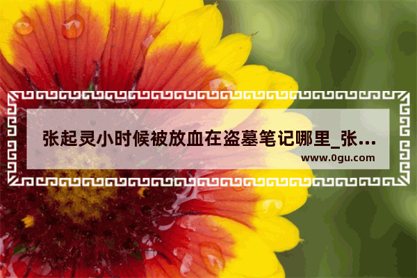 张起灵小时候被放血在盗墓笔记哪里_张起灵生于哪里