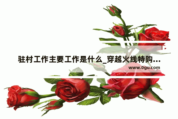 驻村工作主要工作是什么_穿越火线特购堡垒