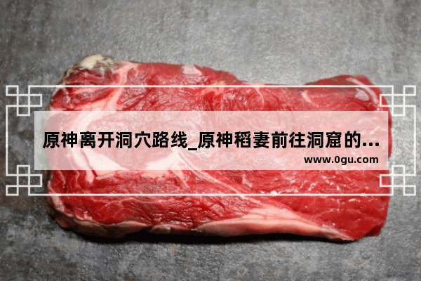 原神离开洞穴路线_原神稻妻前往洞窟的最深处怎么完成
