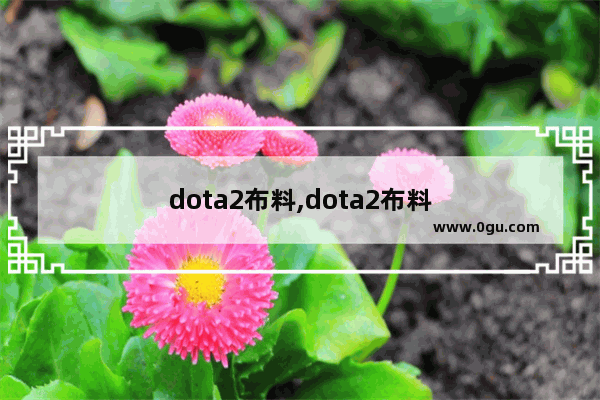 dota2布料,dota2布料
