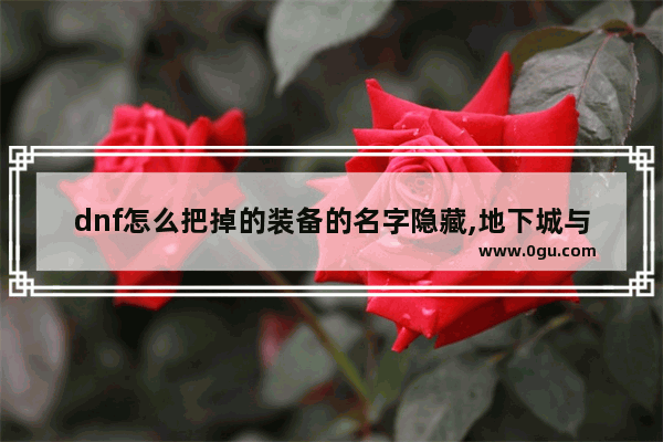 dnf怎么把掉的装备的名字隐藏,地下城与勇士物品名称修改