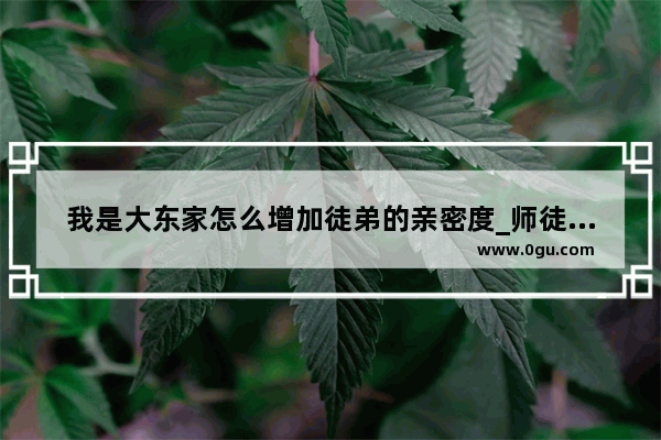 我是大东家怎么增加徒弟的亲密度_师徒羁绊值有什么用