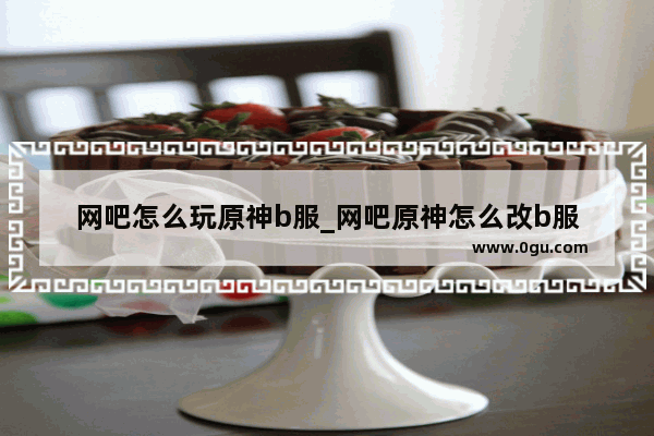 网吧怎么玩原神b服_网吧原神怎么改b服