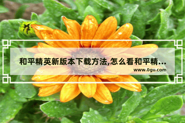 和平精英新版本下载方法,怎么看和平精英当前版本