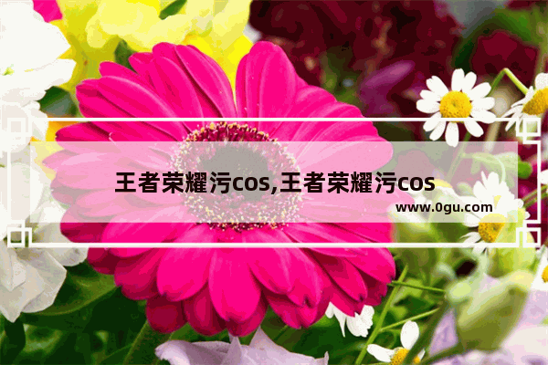 王者荣耀污cos,王者荣耀污cos