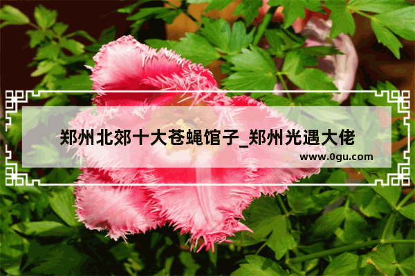郑州北郊十大苍蝇馆子_郑州光遇大佬
