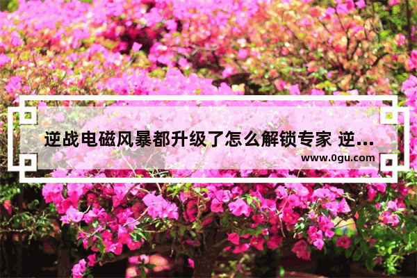 逆战电磁风暴都升级了怎么解锁专家 逆战专家卡永久