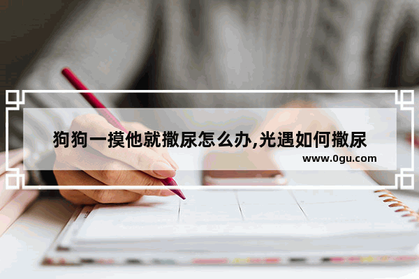 狗狗一摸他就撒尿怎么办,光遇如何撒尿
