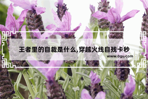 王者里的自裁是什么,穿越火线自残卡秒