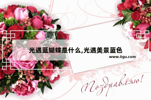 光遇蓝蝴蝶是什么,光遇美景蓝色