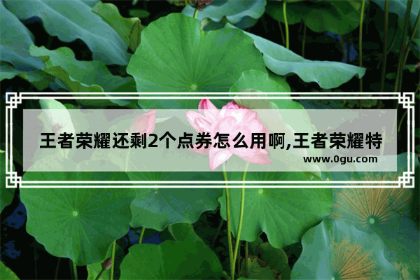 王者荣耀还剩2个点券怎么用啊,王者荣耀特惠贵族
