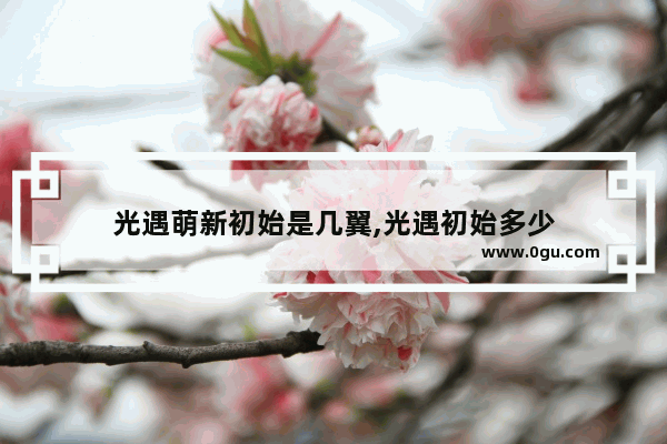 光遇萌新初始是几翼,光遇初始多少