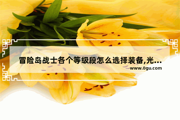 冒险岛战士各个等级段怎么选择装备,光遇天价斗篷