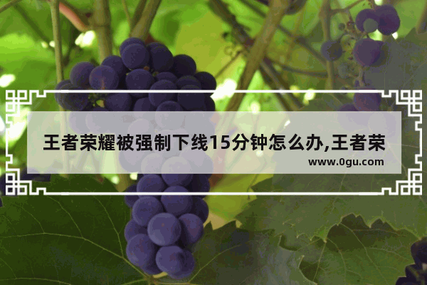 王者荣耀被强制下线15分钟怎么办,王者荣耀十五分钟