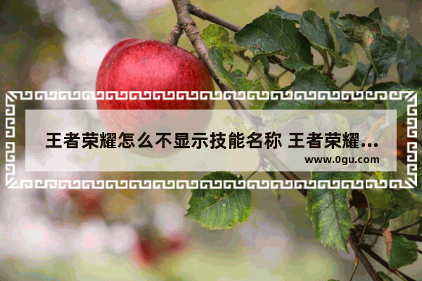 王者荣耀怎么不显示技能名称 王者荣耀没有名字