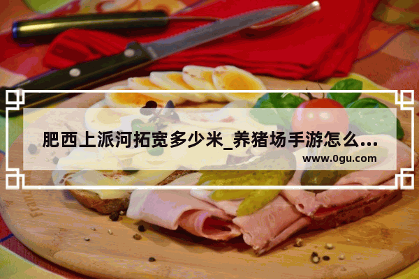 肥西上派河拓宽多少米_养猪场手游怎么玩才能养出一个个肥猪