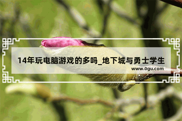14年玩电脑游戏的多吗_地下城与勇士学生玩家多吗