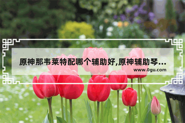 原神那韦莱特配哪个辅助好,原神辅助琴攻略