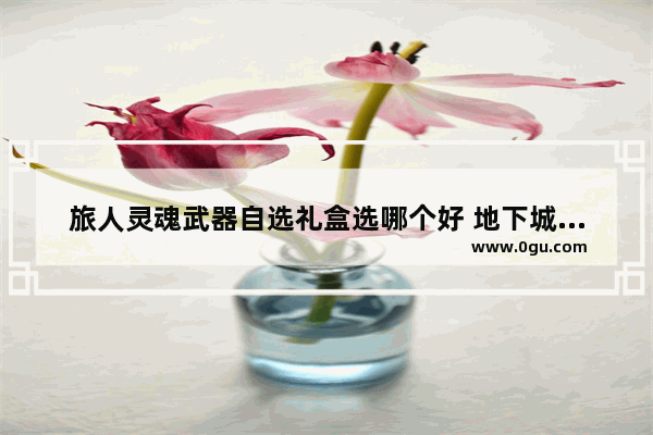 旅人灵魂武器自选礼盒选哪个好 地下城与勇士暗影匕首选择