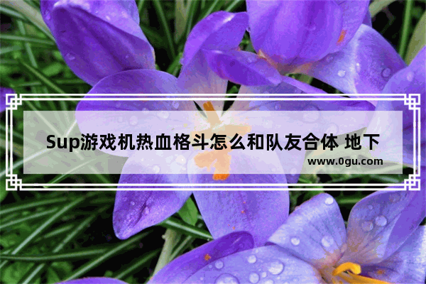 Sup游戏机热血格斗怎么和队友合体 地下城与勇士柔道家怎么用